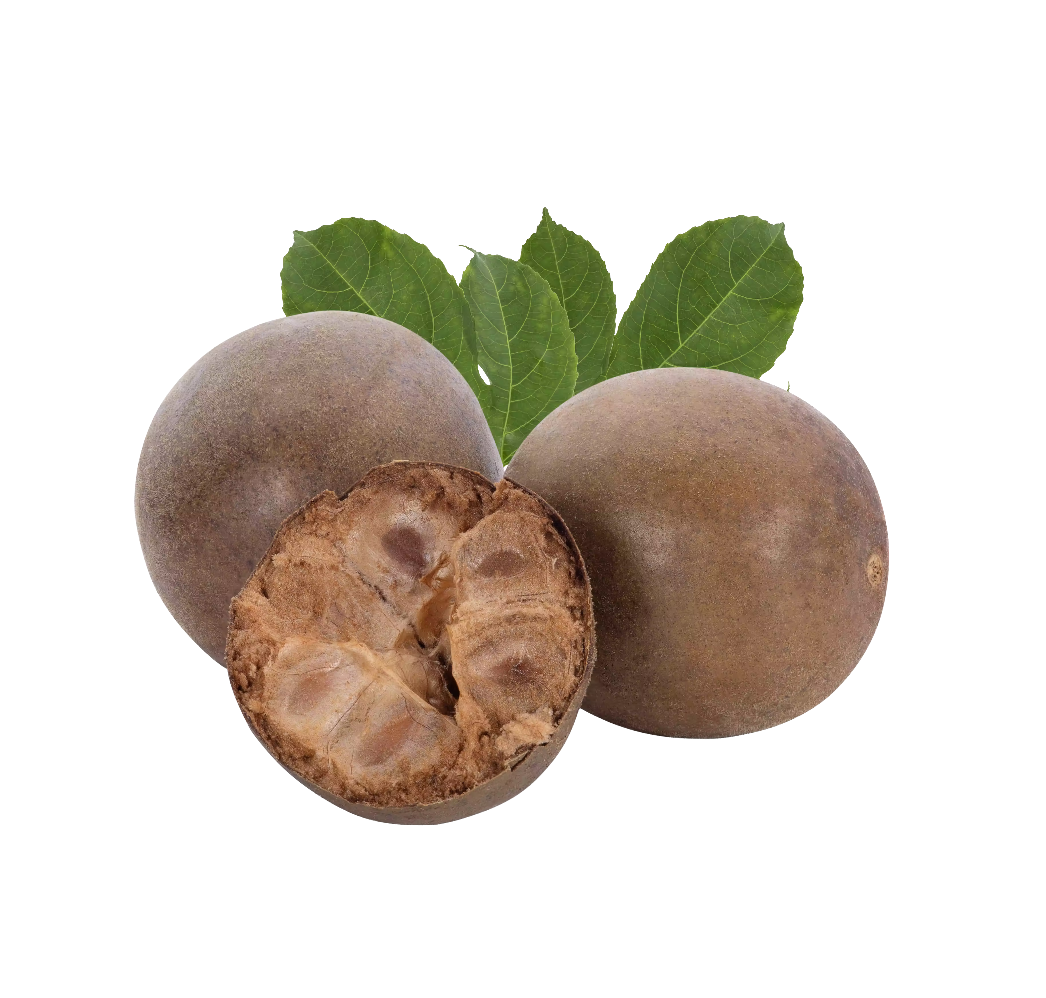 Monk Fruit
Extract MV50